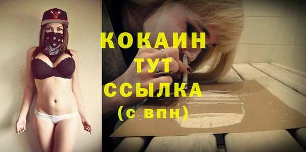 spice Алзамай
