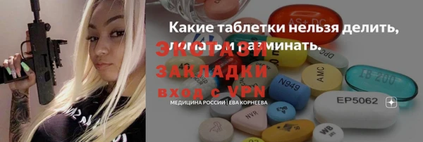 индика Заводоуковск