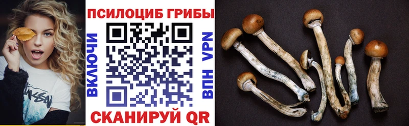 Псилоцибиновые грибы мицелий  нарко площадка Telegram  Инсар  МЕГА как войти 