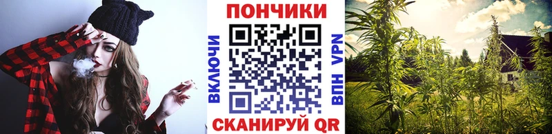 кракен   Инсар  Марихуана семена 